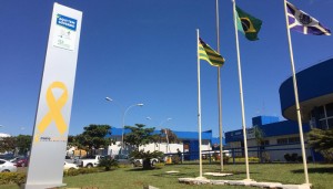 maio_amarelo