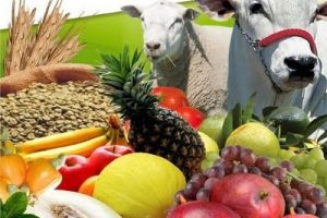 Produção-agropecuária-600x400