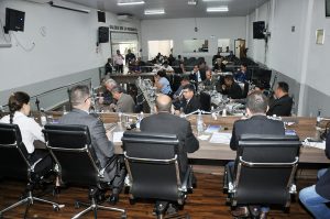 câmar anapolis plenario