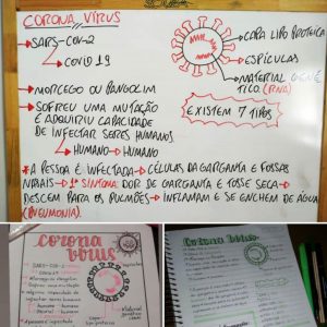 seduc-aulasnpresenciaisred