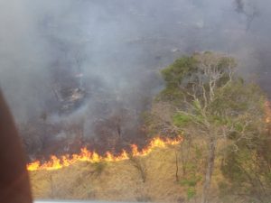 Incendio_Parque_Altamiro_Pacheco_1