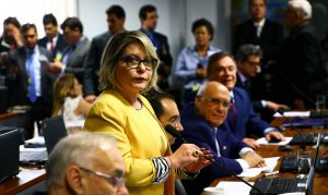 senadora mt
