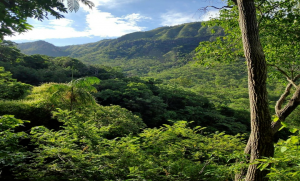 Observatorio turismo