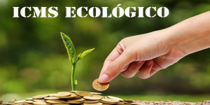 icms ecologico (3)