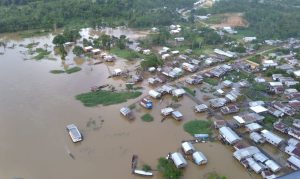 amazonas