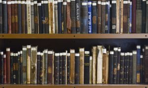 biblioteca_rovena rosa