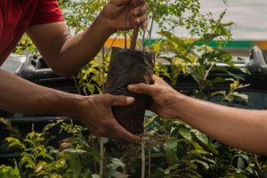 muda troca consciente