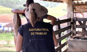 auditor do trabalho