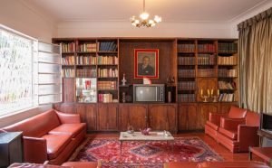 museu pedro ludovico