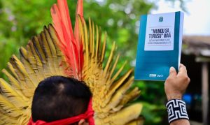 constituicao indigena