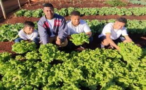 horta escolar1