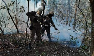 Força Nacional de Segurança Pública, incêndio no pantanal