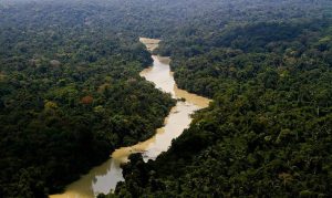 amazonia