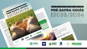 informe pre-safra