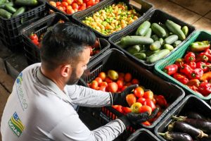 banco alimentos capa