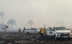 incendio terra ronca