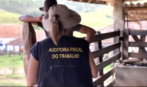 mpt goias