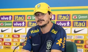 fernando diniz