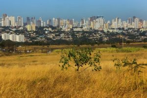 goiania seca