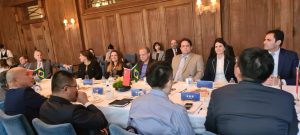 roberto naves no brics