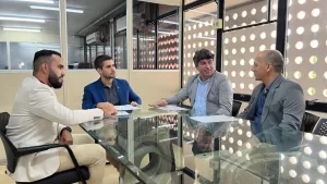 auditores fiscais goias