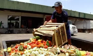 desperdicio de alimentos