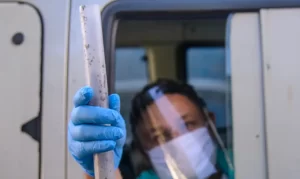 mosquitos com wolbachia