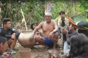 fica mostra indigena