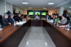 gracinha caiado goias social