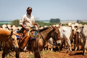 trabalhador rural