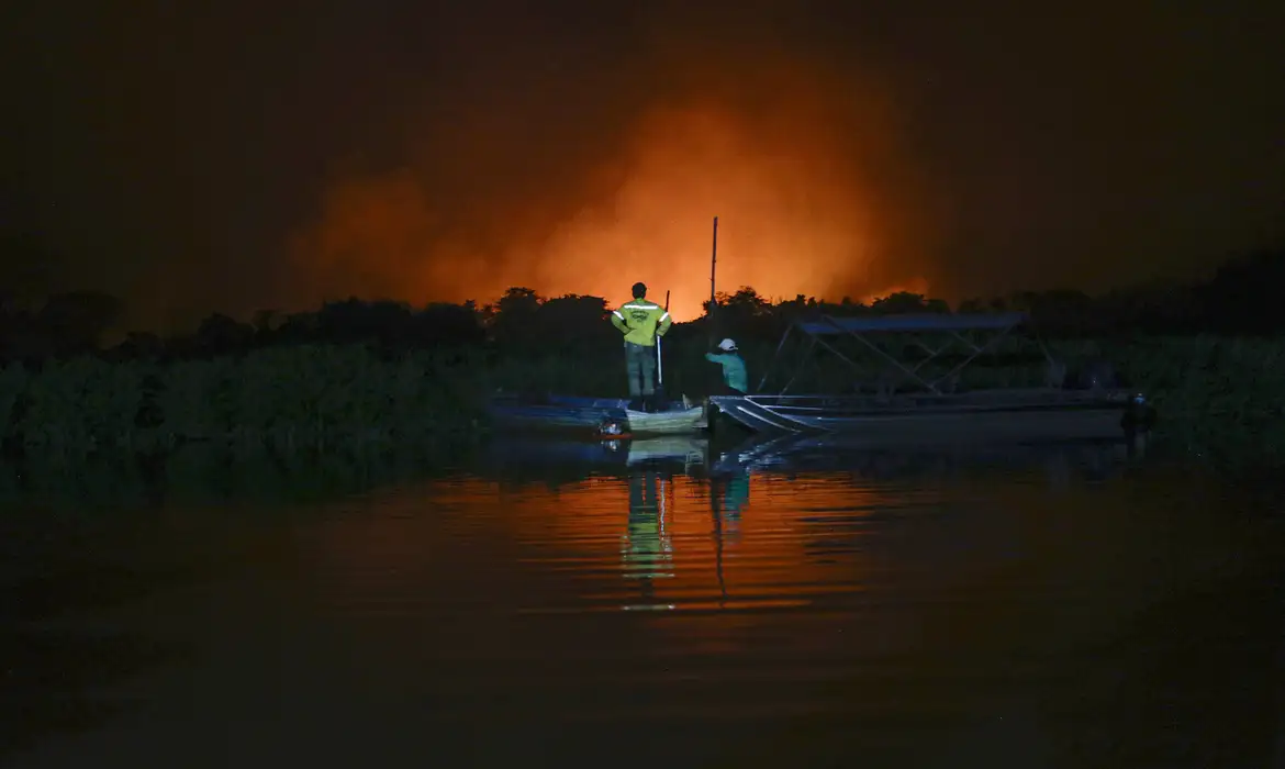 incendio pantanal