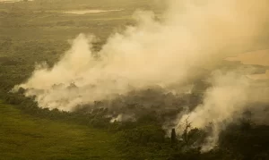 incendio pantanal