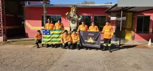 bombeiros go pantanal