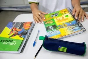 cadernos educacao goias