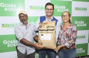 goias social sementes de milho