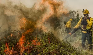 incendio pantanal