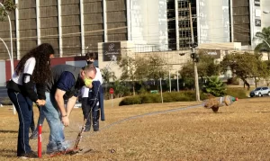 olimpiada de astronomia e astronautica