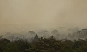 parque nacional de brasilia