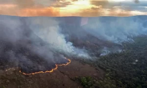 queimada chapada dos veadeiros