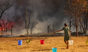 queimada em brasilia