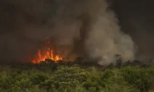 queimada parque nacional