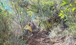 incendio florestal