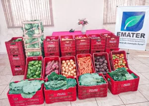 alimentos paa