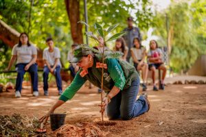 plantando arvore
