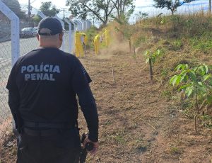 detentos trabalhando