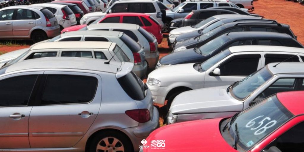 leilao detran