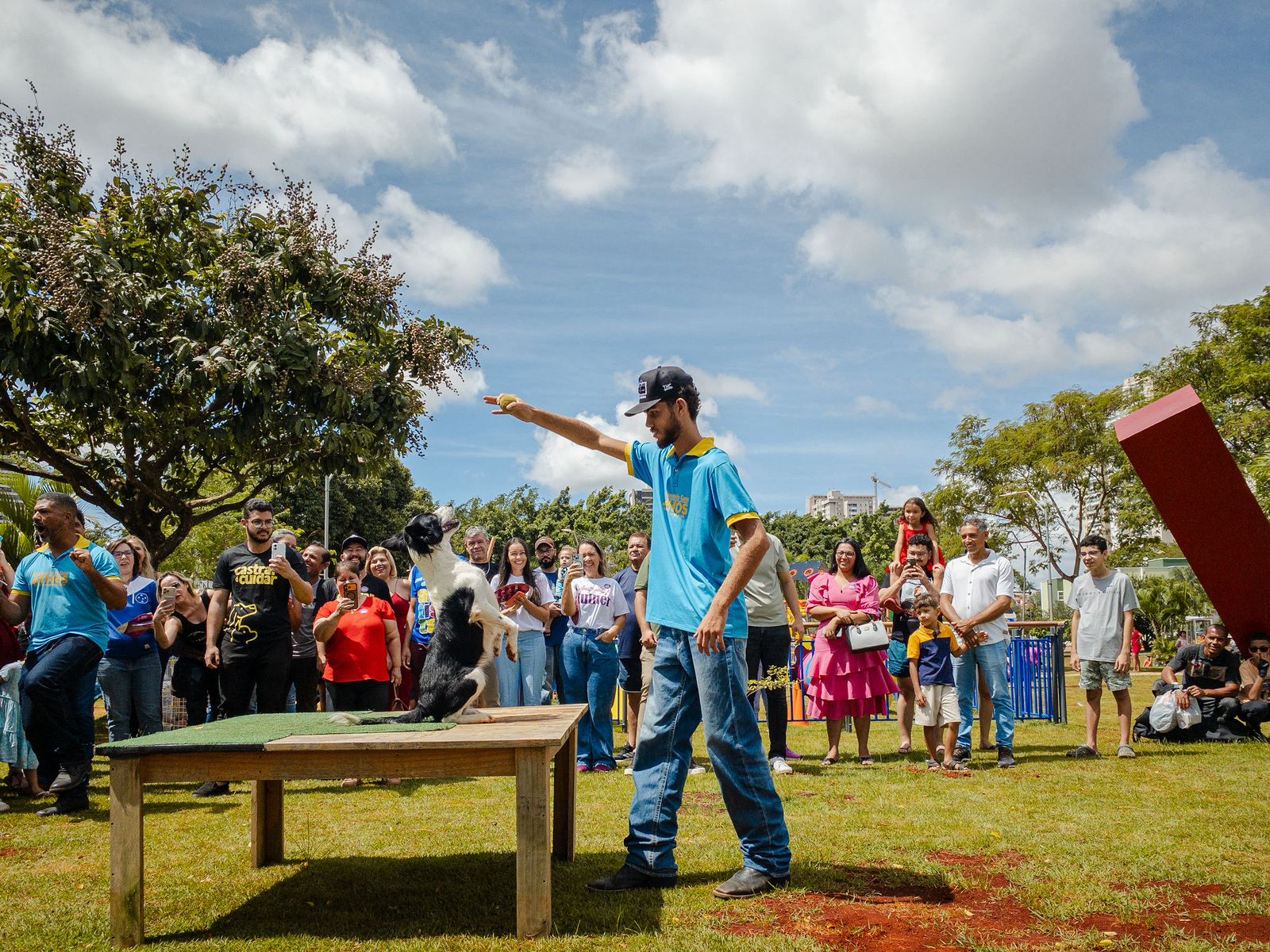 Brinquedos inclusivos e pet places: detalhes dos novos espaços instalados no Parque Ipiranga